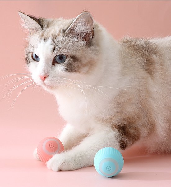 Jouets pour chat intelligents roulants interactifs