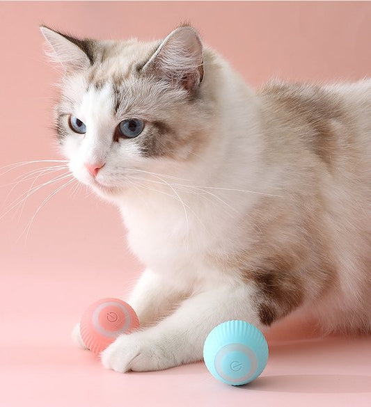 Jouets pour chat intelligents roulants interactifs