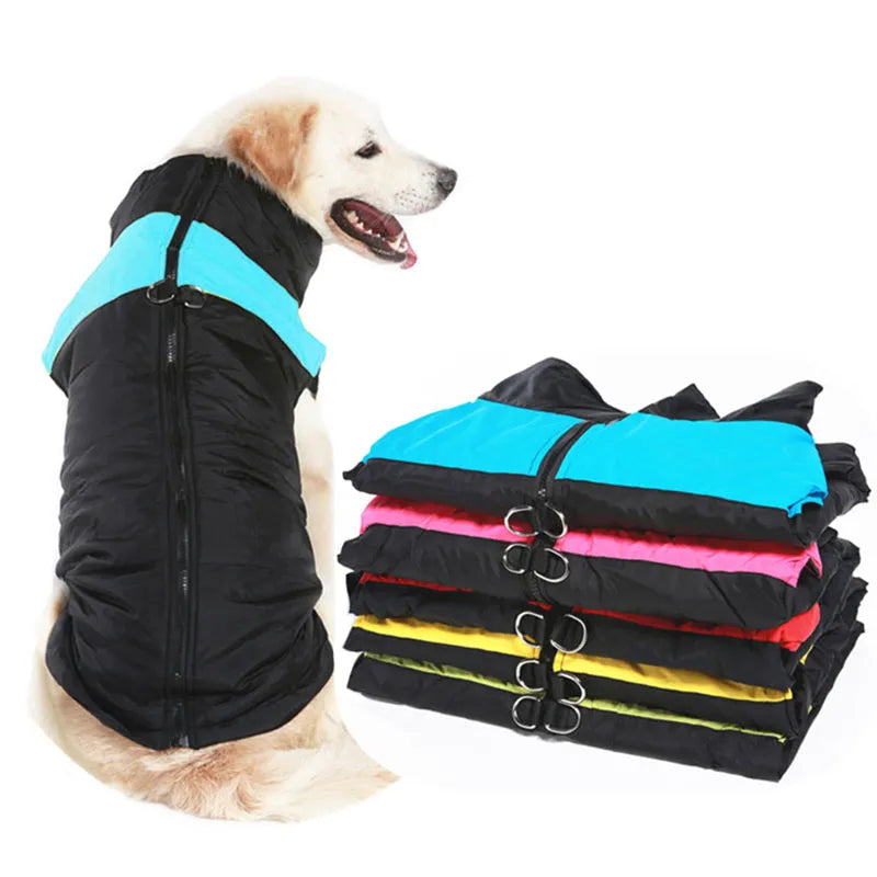 Vêtements d'hiver pour chiens, manteau chaud et imperméable 100 % Coton