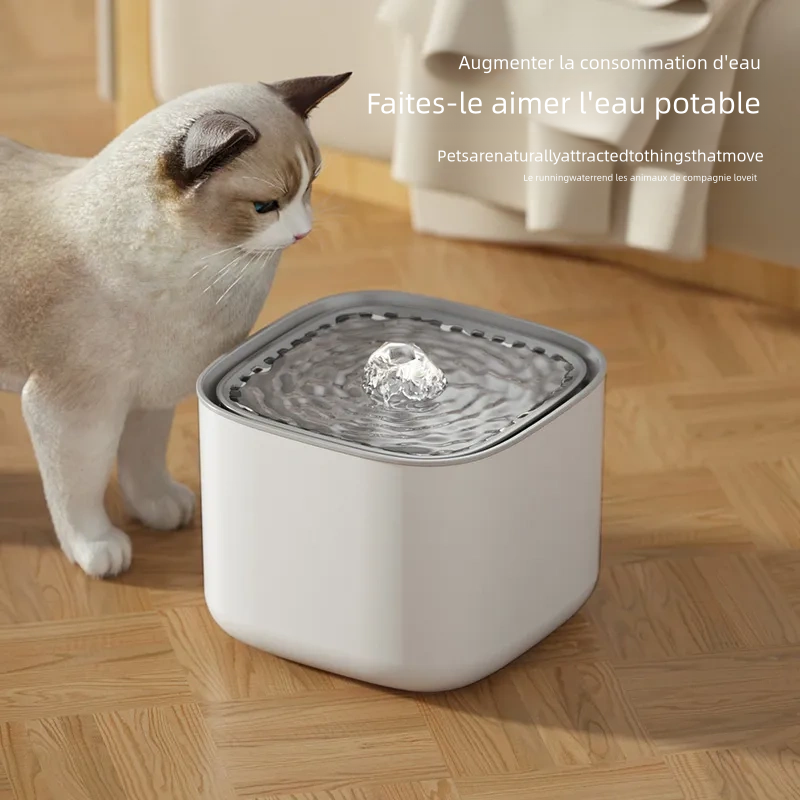Fontaine à eau pour chat de 3 litres avec filtre à recyclage automatique