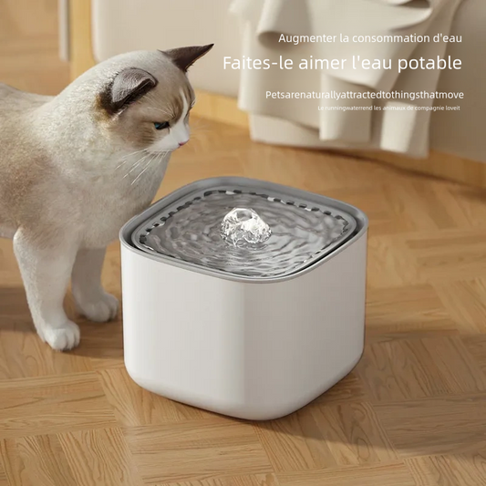 Fontaine à eau pour chat de 3 litres avec filtre à recyclage automatique
