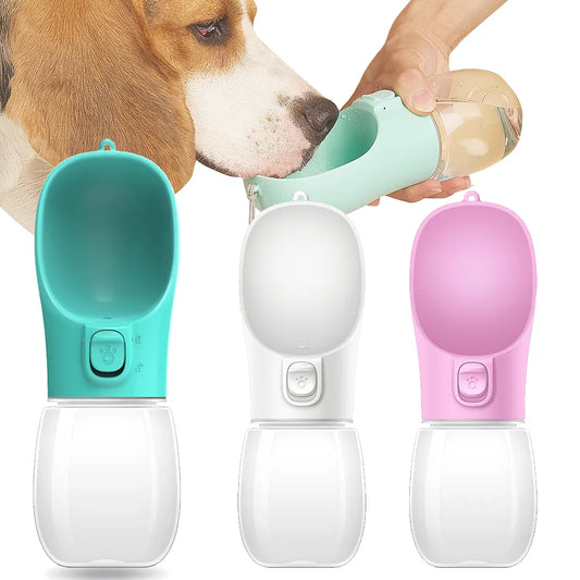 Bouteille d'eau portable pour petit chien, grand chien et chat