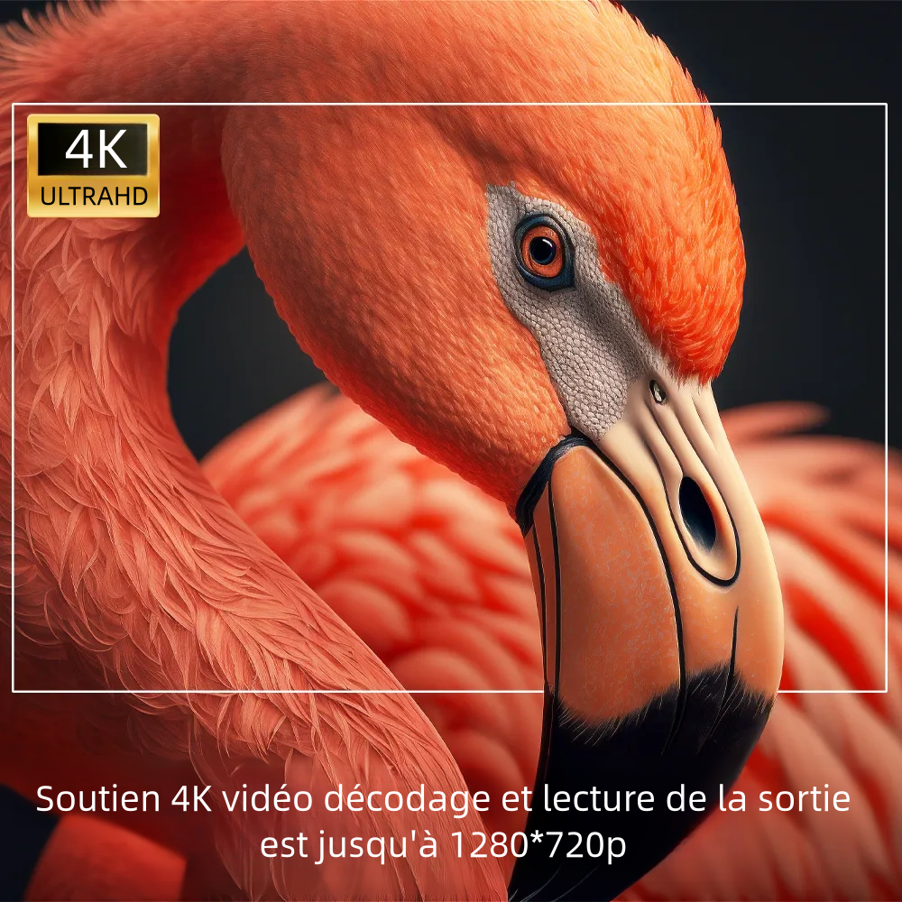 Pour toute la famille, transformez votre maison en un véritable cinéma avec le Projecteur Transpeed 4K