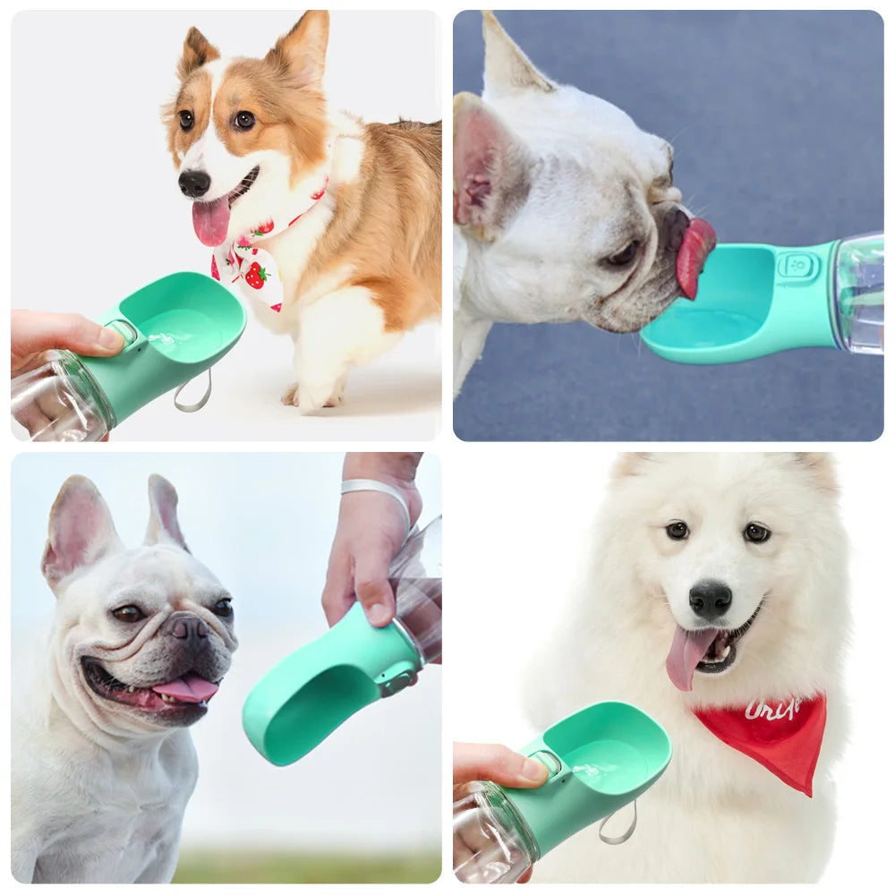Bouteille d'eau portable pour petit chien, grand chien et chat