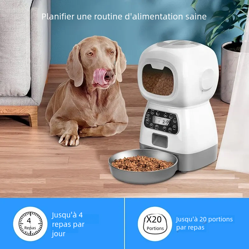 Alimentation automatique pour animaux de compagnie pour chats et chiens