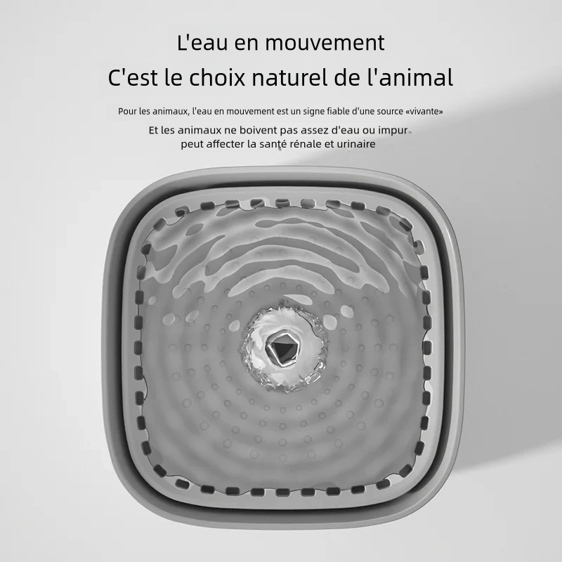 Fontaine à eau pour chat de 3 litres avec filtre à recyclage automatique