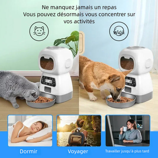 Alimentation automatique pour animaux de compagnie pour chats et chiens