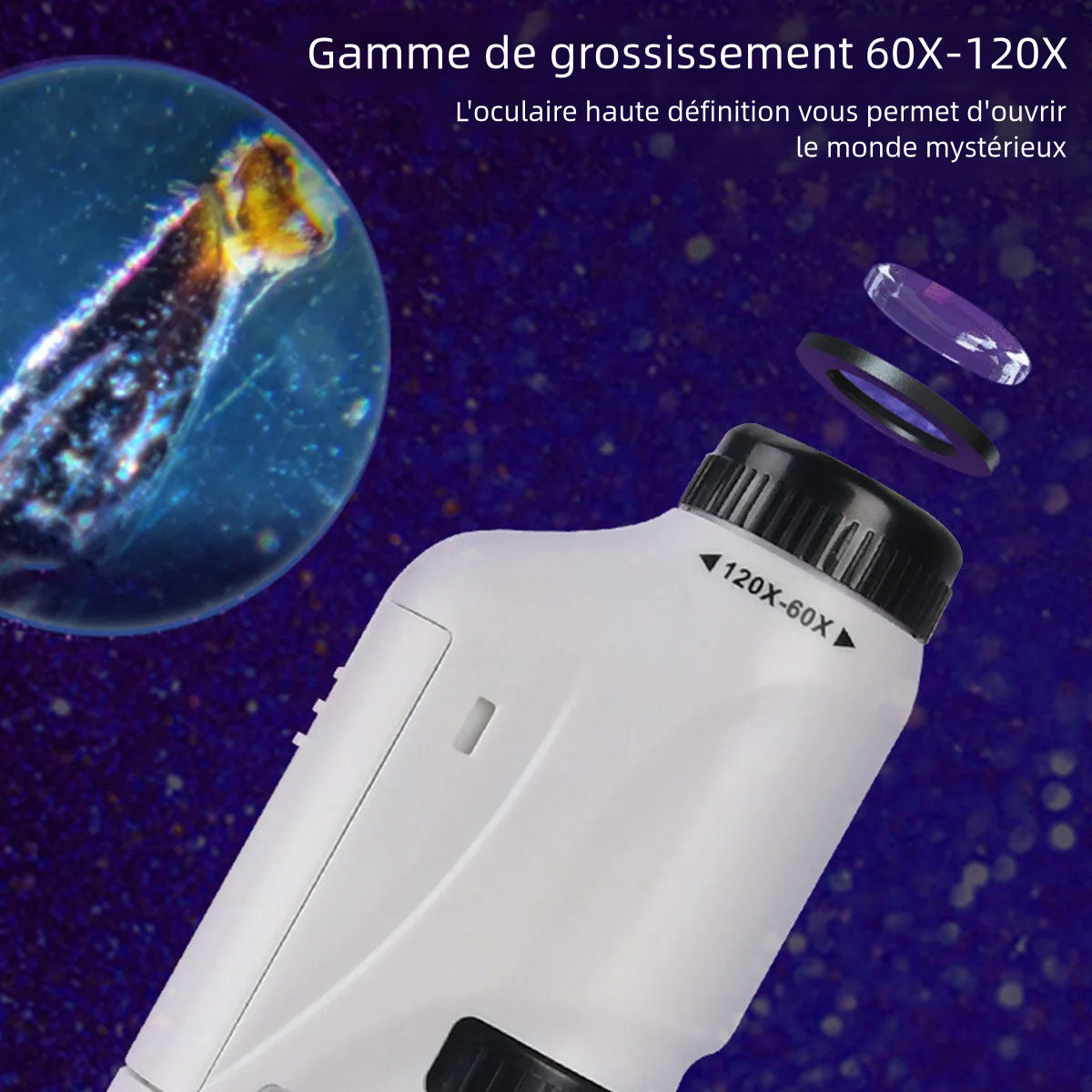 Kit de Microscope portatif 60-120 alimenté par batterie