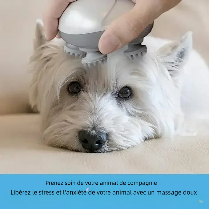 Masseur électrique pour chat, grattoir pour le dos pour soulager les tensions